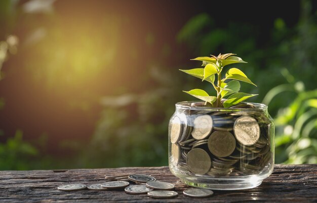 Coins put in glass and stack coins for growing business and tax season.