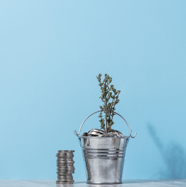 Coins in a small bucket and a plant income growth concept