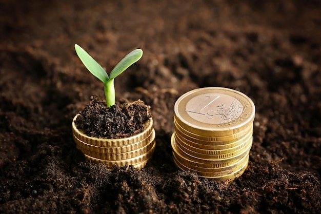 Coins in soil with young plant Money growth concept