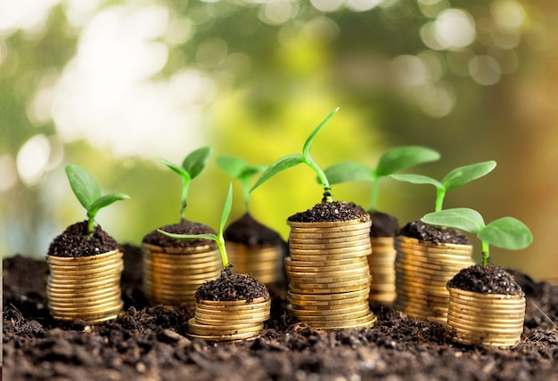 Coins in soil with young plants on background