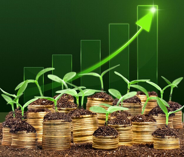 Coins in soil with young plants on blurred background