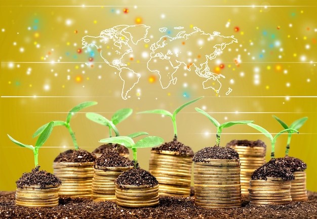 Coins in soil with young plants on blurred background