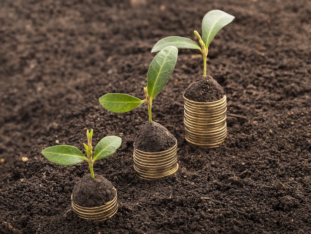 Coins in soil with young plants on blurred background