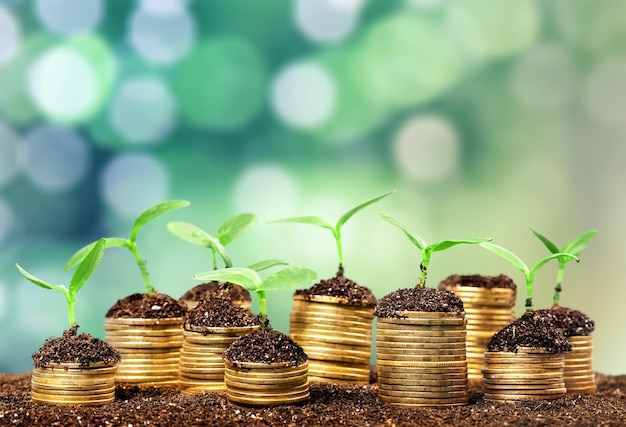 Coins in soil with young plants on