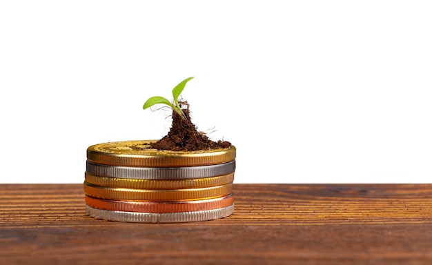 Photo coins stack of money and growing plant financial concept