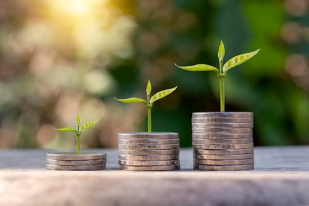 Coins and trees planted on piles of coins ideas for saving money and increasing finances