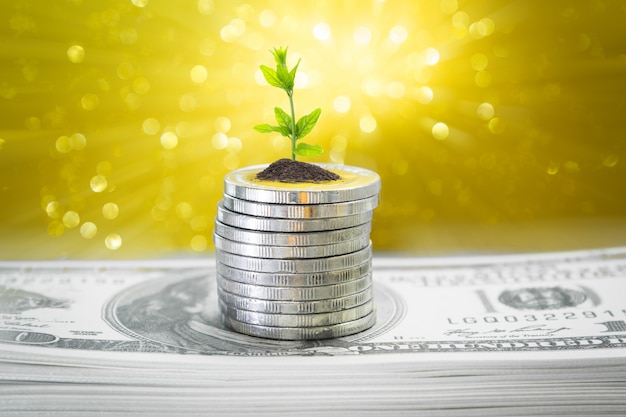 Photo coins with young plant on table with golden backdrop blurred and money