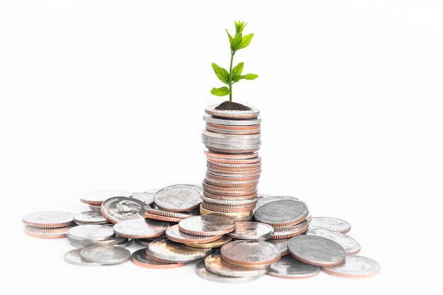 Coins with young plant on white table.