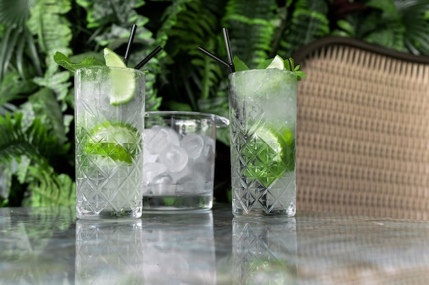 Coktail Gin Tonic or Mojito in glass with mint, ice, lime on the tropical leaves background.