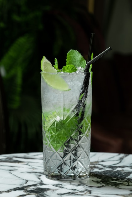 Coktail Gin Tonic or Mojito in glass with mint, ice, lime on the tropical leaves background.