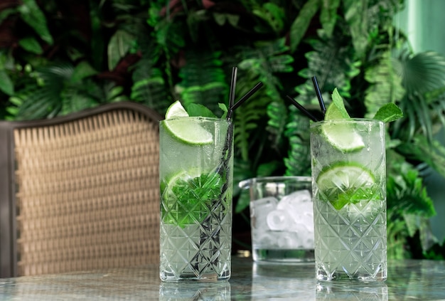 Coktail Gin Tonic of Mojito in glas met munt, ijs, limoen op de achtergrond van tropische bladeren.