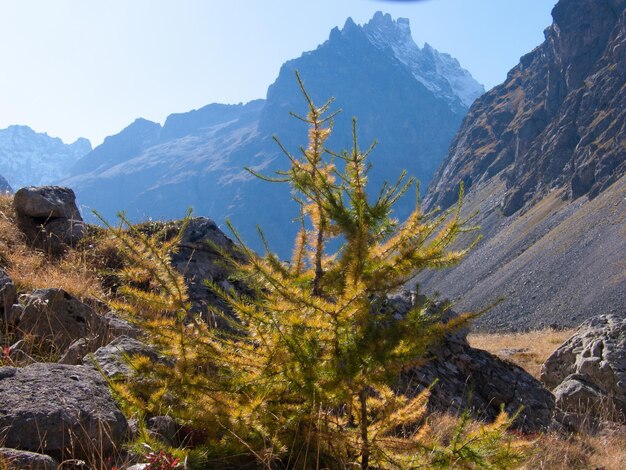 Col darsine la grave hautes alpes FRANKRIJK