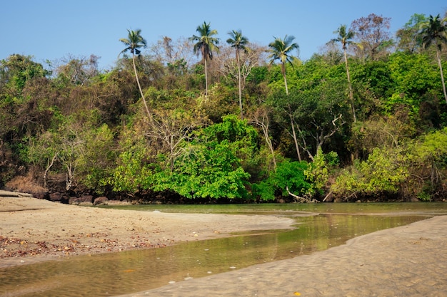 Cola Colva beach in paradise Goa copyspase