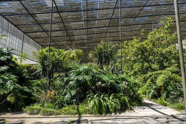 Cold greenhouse location