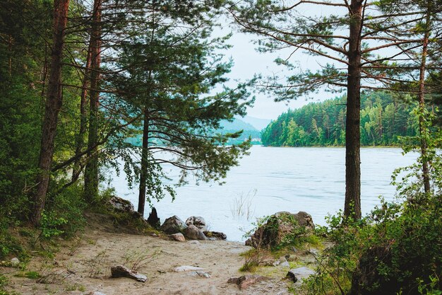 Cold Nature of Altai mountains with Katun River in Siberia in Russia