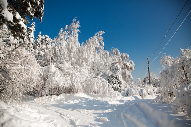 Cold snowy winter in russian village