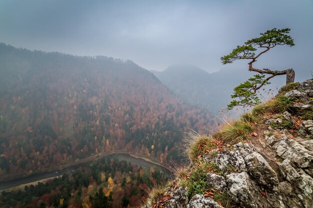 Cold Sokolica peak in Pieniny mountains at sunrise in autumn