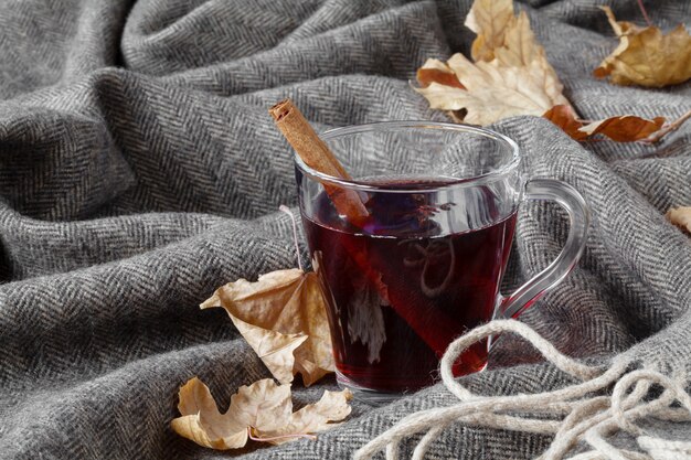 Cold time hot alcohol drink, mulled wine