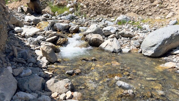 夏の山の冷たい水