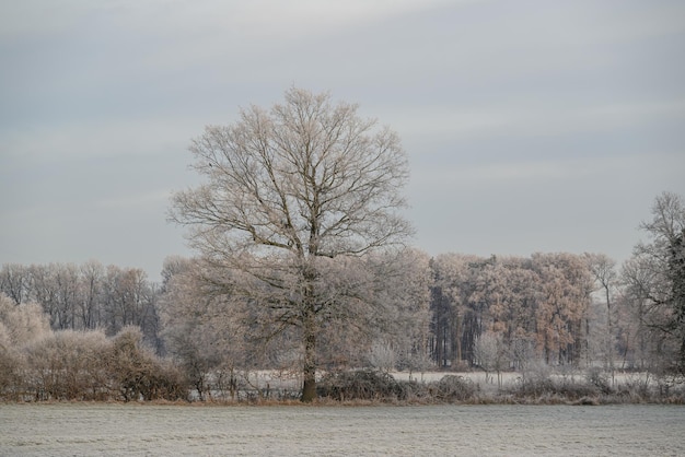 Photo cold winter day in westphalia