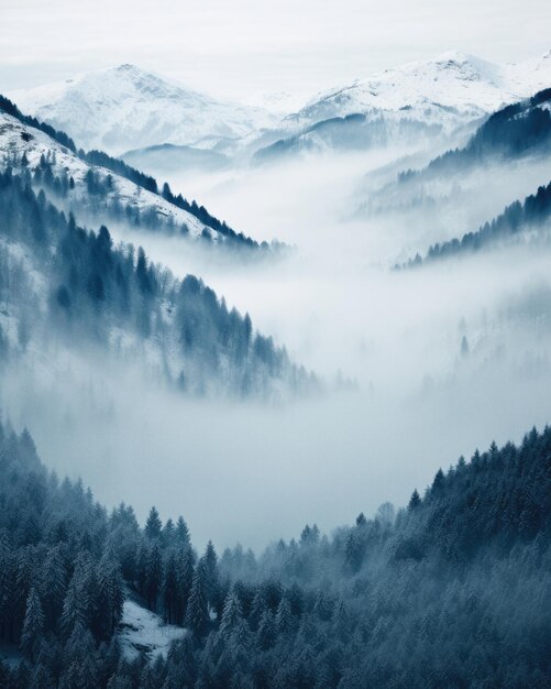 Photo cold winter misty mountain landscape in the morning