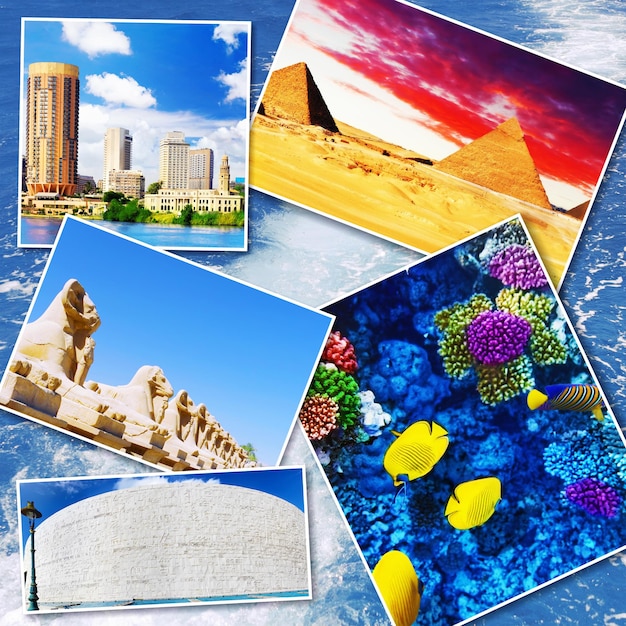 collage of beautiful egypt africa