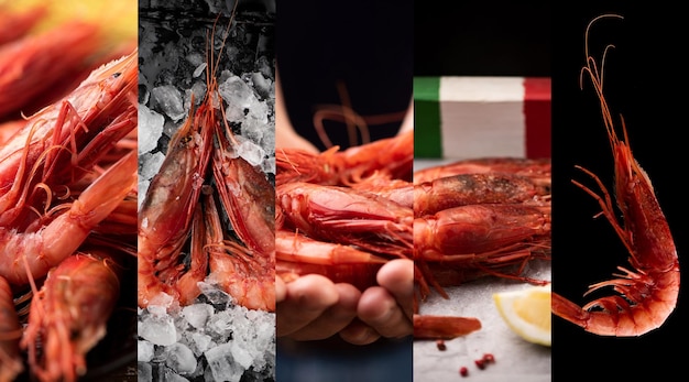 Collage of fish with Red King Prawns