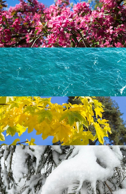 Collage of four seasons nature Closeup Nature background