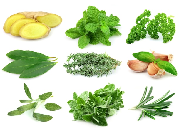 collage of green and juice spice