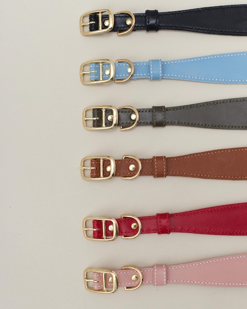 Collage isolated set of leather straps belts accessories collars leashes with rivets for dog pet