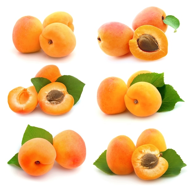 Collage of sweet apricots on white