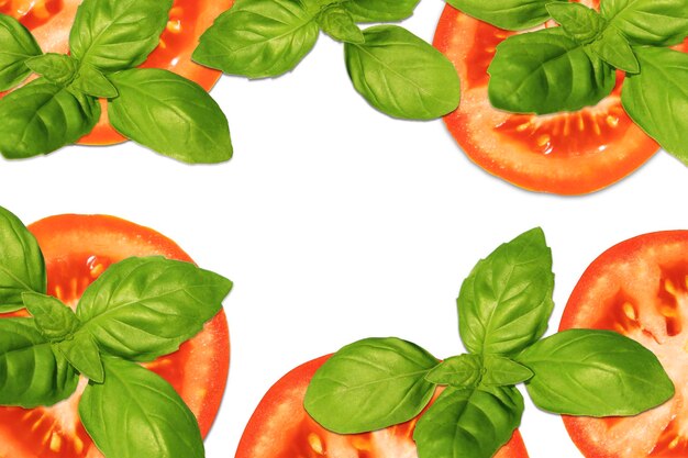 Foto collage di fette di pomodoro con succose foglie di basilico verde su sfondo bianco con spazio per il testo banner