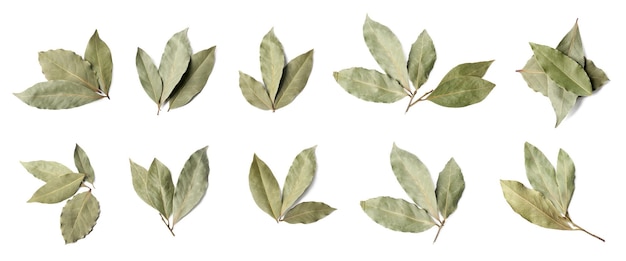 Collage with dry bay leaves on white background top view
