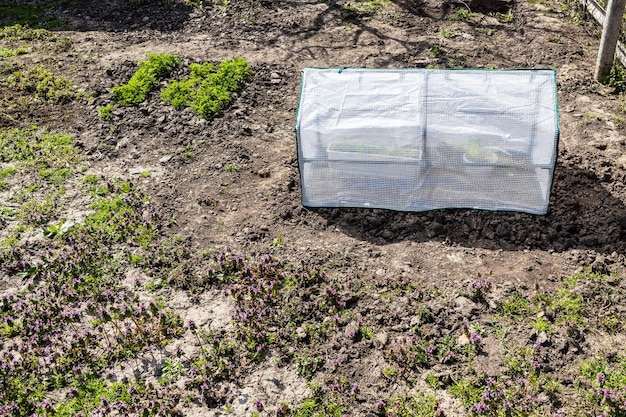 Collapsible film covered greenhouse in garden