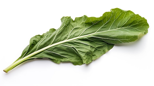 Collards leaf on white background