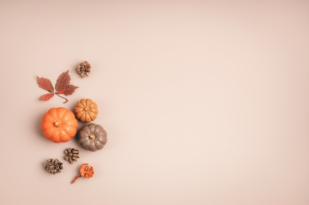 Collectie handgemaakte gipspompoenen. Herfst seizoensgebonden vakantie achtergrond in natuurlijke kleuren. DIY ambachtelijke pompoenen voor helloween, Thanksgiving, herfstdecoratie