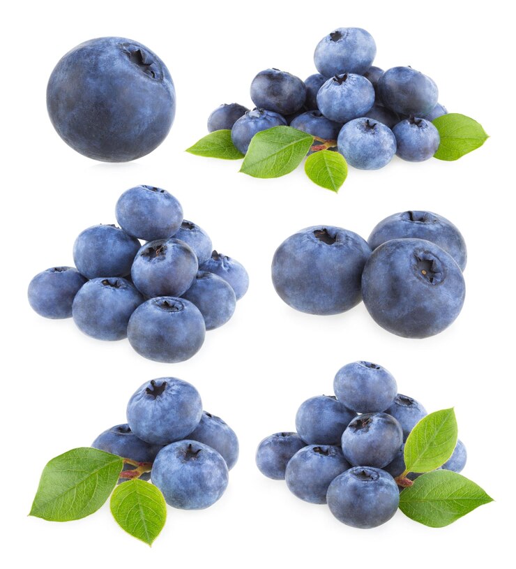 Collectie van 9 blauwe bessen afbeeldingen