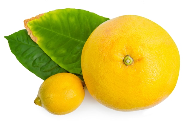 Collectie van citrusvruchten (grapefruit en citroen) met groene bladeren geïsoleerd op een witte achtergrond