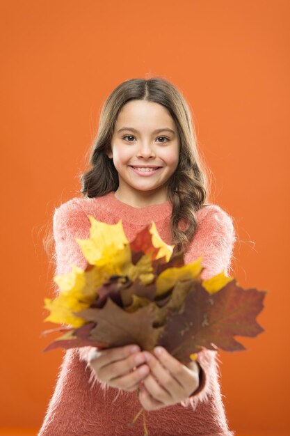 Collecting leaves Cute happy smiling kid playing with leaves Botany concept Natural treasures Color pigment Changes in nature Happy little girl with maple leaves Small child hold autumn leaves