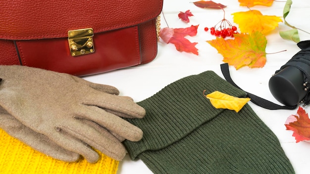 Collection of autumn accessories and colorful autumn leaves