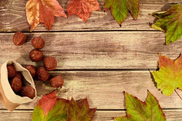 Collection beautiful colorful autumn leaves and walnuts on wooden background