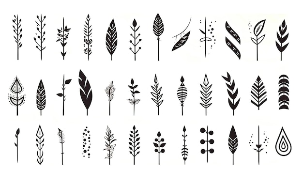 a collection of black and white illustrations of leaves and feathers.