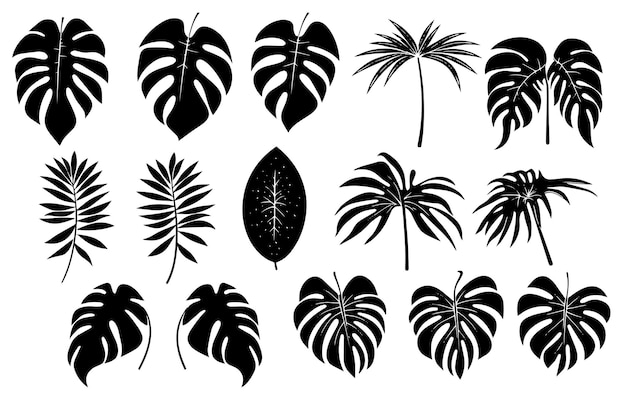 A collection of black and white illustrations of palm trees.