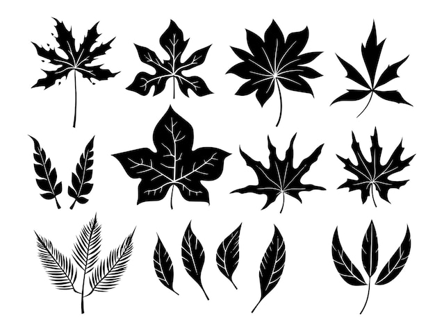 Коллекция черно-белых изображений растений и листьев.