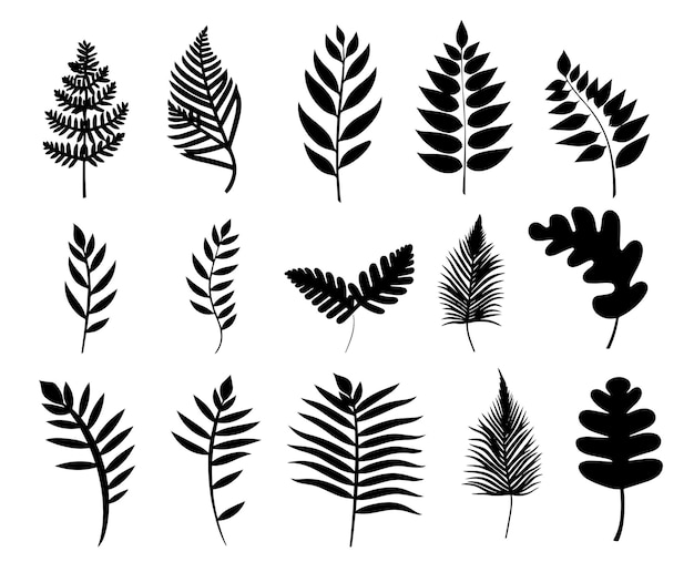 A collection of black and white plants with the words " black " on them.