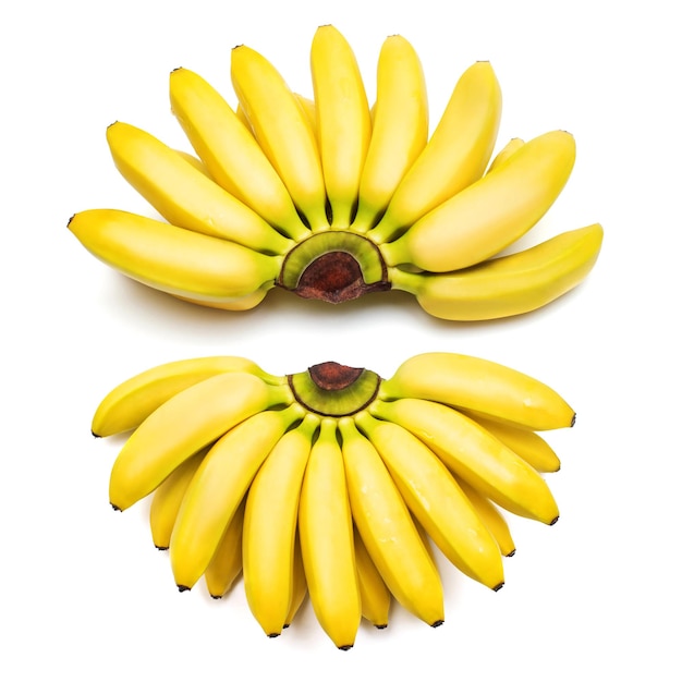 Collection bunch of baby bananas isolated on white background. Flat lay, top view