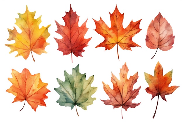 色とりどりの秋の葉の集まり