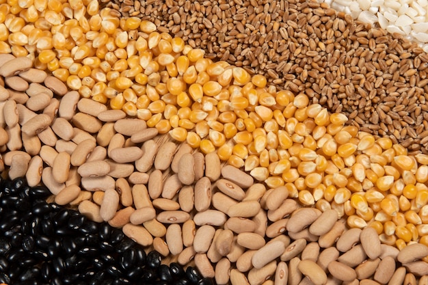 Collection of different cereal varieties and edible dry seeds. Examples of fiber sources