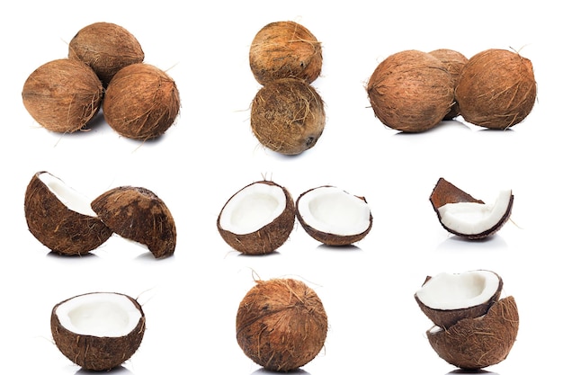 Collection of different coconuts isolated on white background