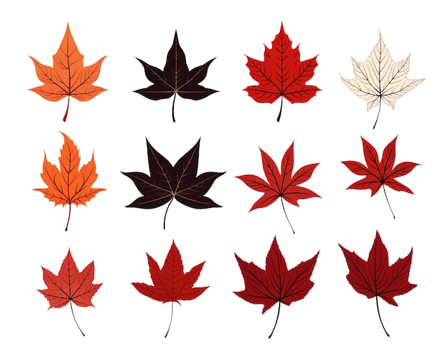 A collection of different colored leaves including one that has the word autumn on it.